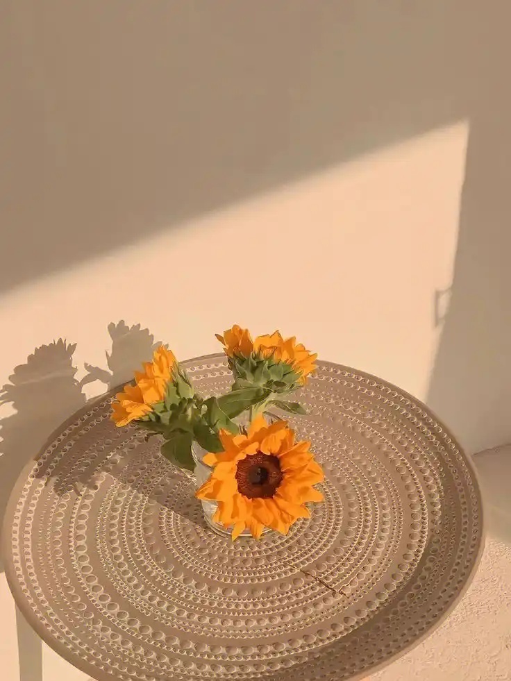 @zzcseo+2025最新蜘蛛池_极速响应引擎_双核加速版v28.04.98安卓免费版V99.47.17下载